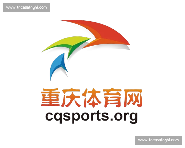 综合体育官网打造全民运动资讯赛事互动一站式平台服务体验升级