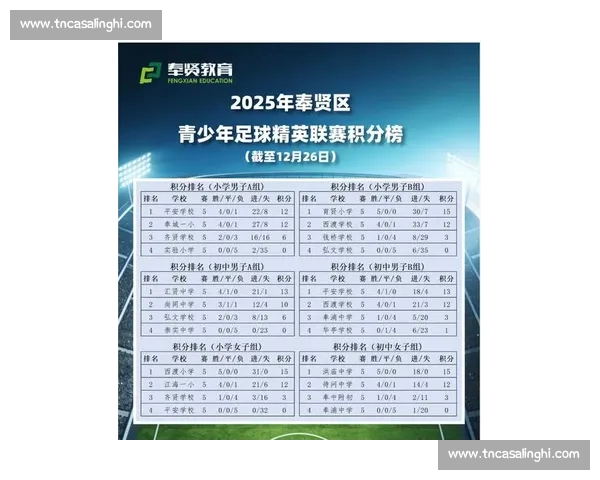 绿茵争锋点燃激情新赛季足球赛事全面观察与前瞻发展趋势深度解析
