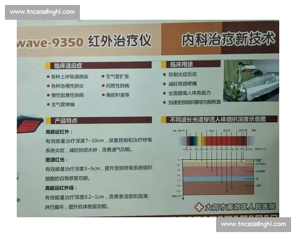 足球赛前信息系统化整理方法与实战决策应用研究模型构建与评估 - 副本 - 副本