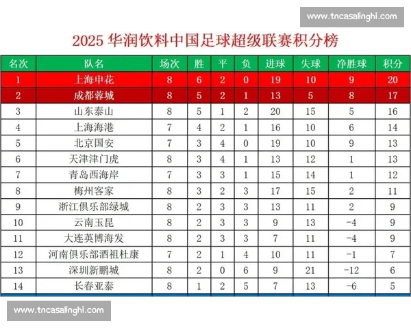中超联赛最新赛季战绩分析与球队实力对比全解析
