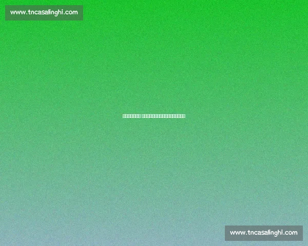 《全新赛季开启 体育新闻平台带你纵览全球赛事动态》