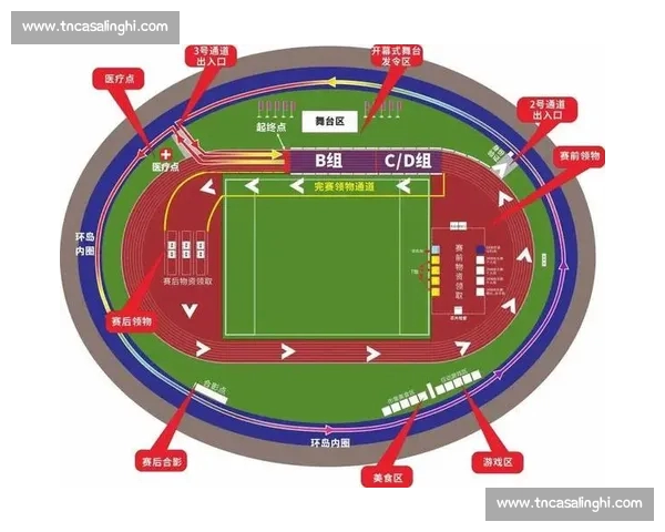 打造全方位互动体验的综合体育赛事与健身娱乐平台